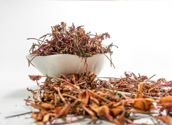 jungle gernnium, rubiaceae, flowers-2477473.jpg